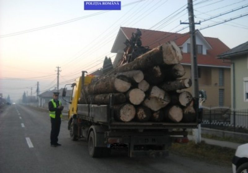 Controale în trafic la Sarasău