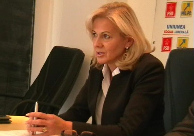 Baia Mare: Defrişările necontrolate ale pădurilor din judeţ, în atenţia deputatului Cornelia Negruţ