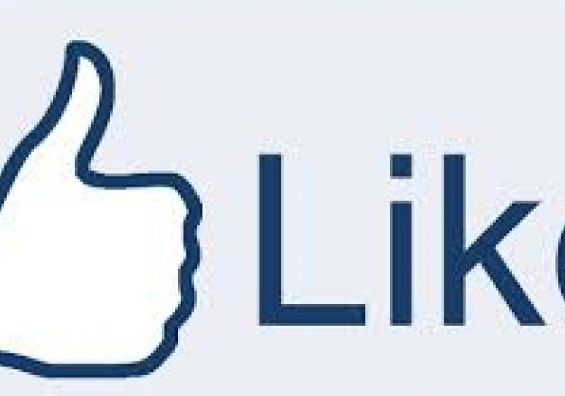 Grapini a lansat pe Facebook un concurs de idei pentru alegerea unui nou brand turistic al României Grapini a lansat pe Facebook un concurs de idei pentru alegerea unui nou brand turistic al României