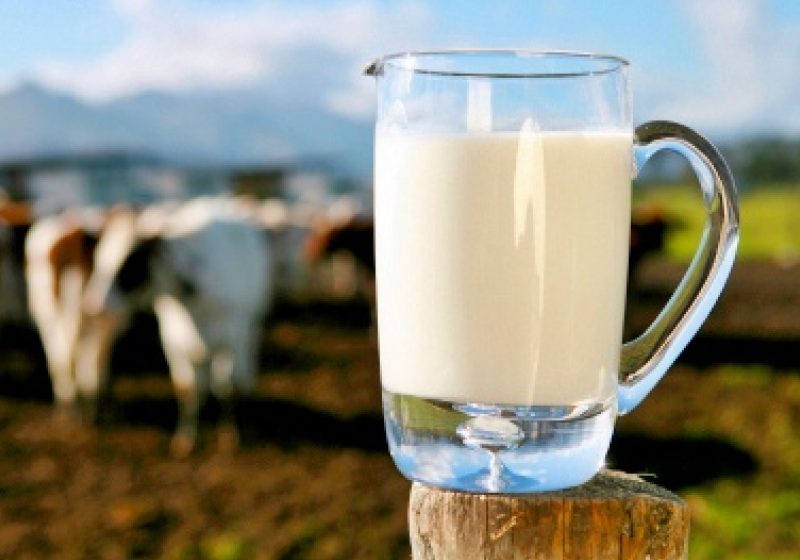Mănăstireanu (ANSVSA): Laptele provenit de la fermele depistate cu aflatoxina va fi sigur pentru consum, începând de săptămâna viitoare