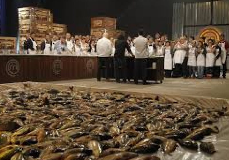 MASTERCHEF: Prima probă eliminatorie. Mulţi concurenţi au avut nevoie de intervenţia medicului