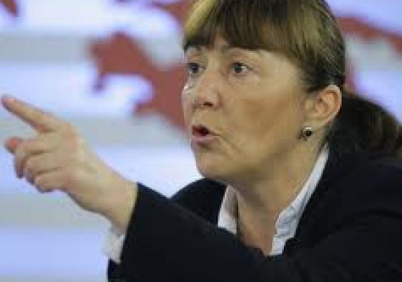 Macovei: Nu candidez pentru nicio funcţie în BPN al PDL. Nu am proiecte comune cu Blaga sau Udrea