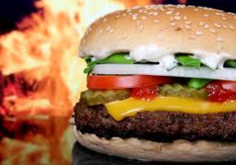 "ESTE ABSOLUT TERIFIANT". Carne neidentificată, care ar putea fi de câine, descoperită în mâncarea fast-food din Londra "ESTE ABSOLUT TERIFIANT". Carne neidentificată, care ar putea fi de câine, descoperită în mâncarea fast-food din Londra