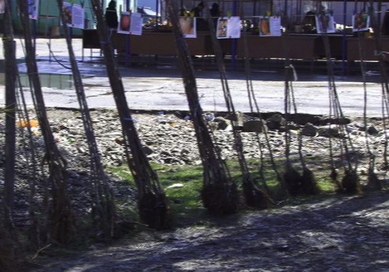 Sighetenii se pregătesc de grădinărit