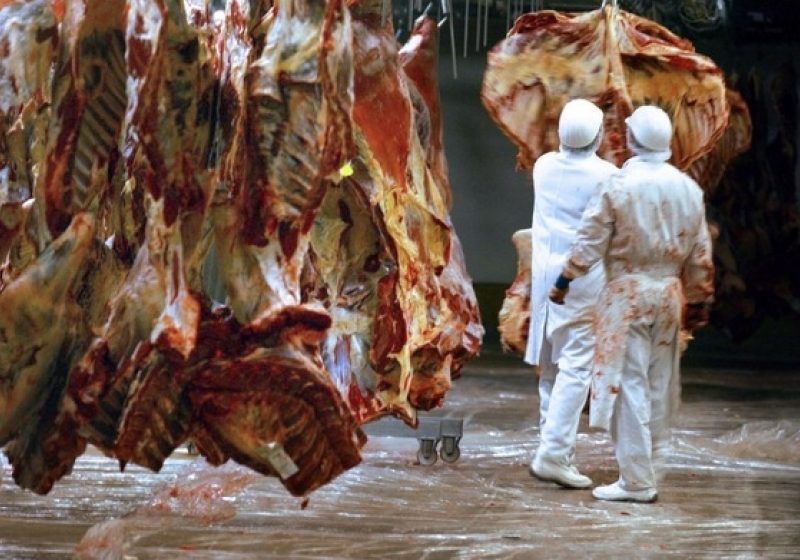 URMĂRILE SCANDALULUI CĂRNII DE CAL: Consumul intern de carne de vită a scăzut cu cel puţin 10%