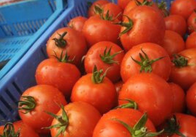 Oficialii turci solicită României rezolvarea problemei controalelor amănunţite la transporturile de produse vegetale din Turcia