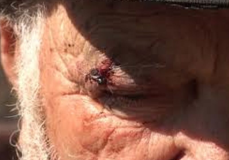 Baia Mare: Naivitate la 90 ani. Un bătrân tâlhărit de banii care-i avea