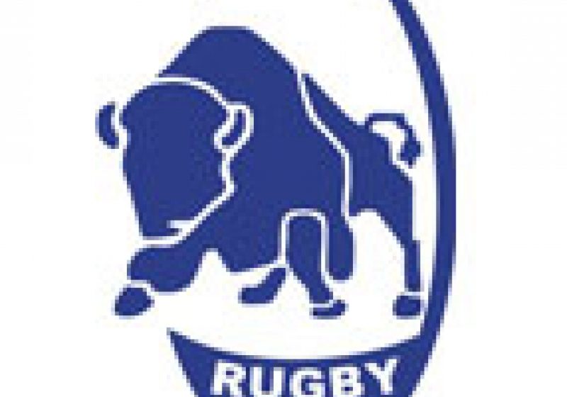 Baia Mare: RUGBY U 18- Ştiinţa Petroşani a încheiat la egalitate meciul cu C.S.M. Baia Mare Baia Mare: RUGBY U 18- Ştiinţa Petroşani a încheiat la egalitate meciul cu C.S.M. Baia Mare