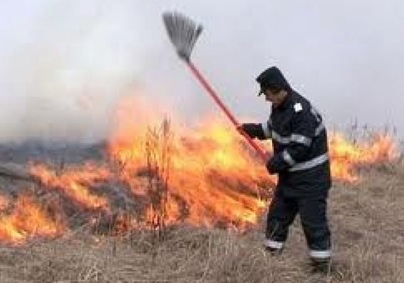 Maramureş: Amenzi usturătoare pentru gospodarii care incendiază vegetaţia uscată