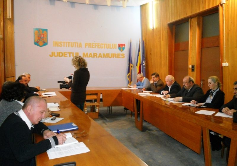 Baia Mare: Înfiinţarea Federaţiei Asistenţilor Personali şi Maternali, un proiect realizabil