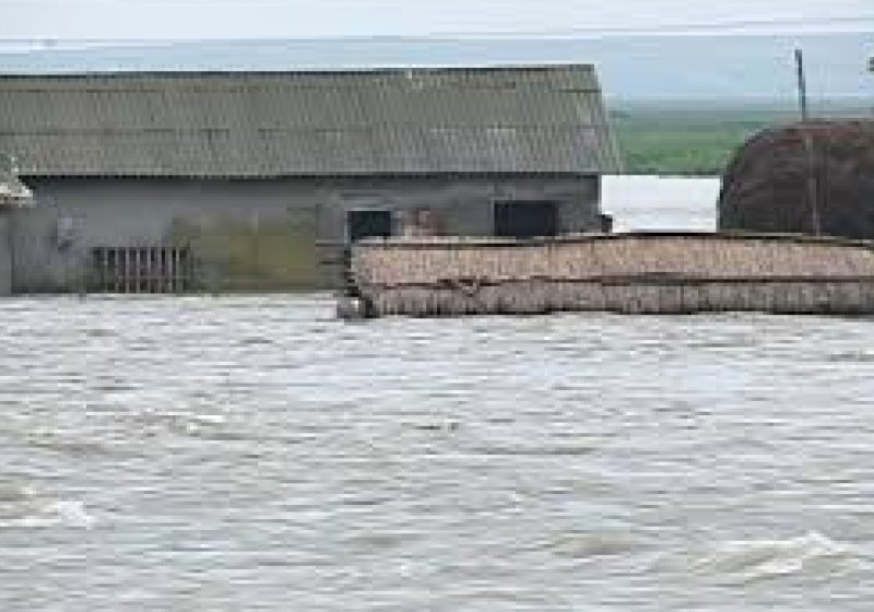 INUNDAŢII ÎN ŢARĂ: Peste 1.400 de persoane, izolate în Buzău. Numeroase case inundate în judeţul Bistriţa INUNDAŢII ÎN ŢARĂ: Peste 1.400 de persoane, izolate în Buzău. Numeroase case inundate în judeţul Bistriţa