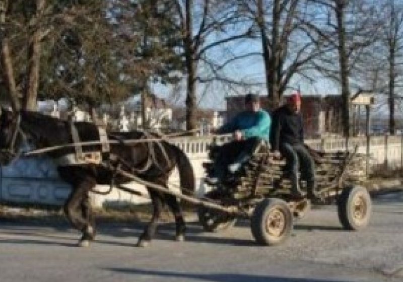 Maramureş: Femeie de 71 de ani accidentată de căruţă