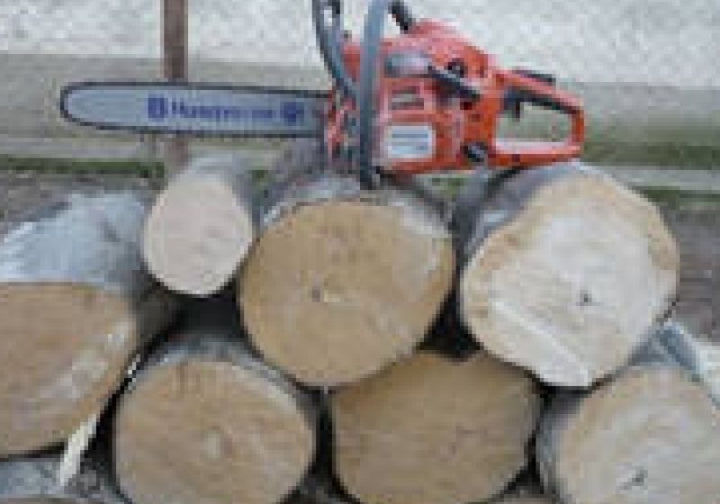 Maramureş: Material lemnos în valoare de 1 600 lei confiscat la Sarasău