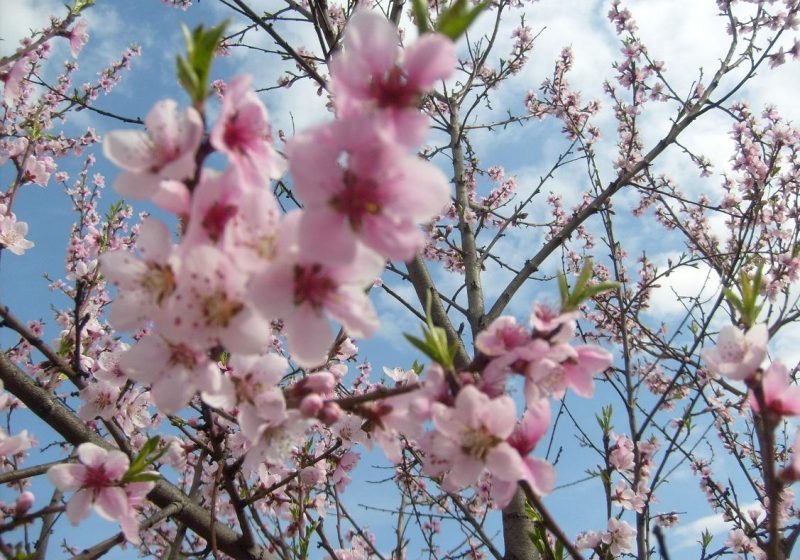 METEO: Cum va fi vremea mâine în Sighet şi localităţile învecinate