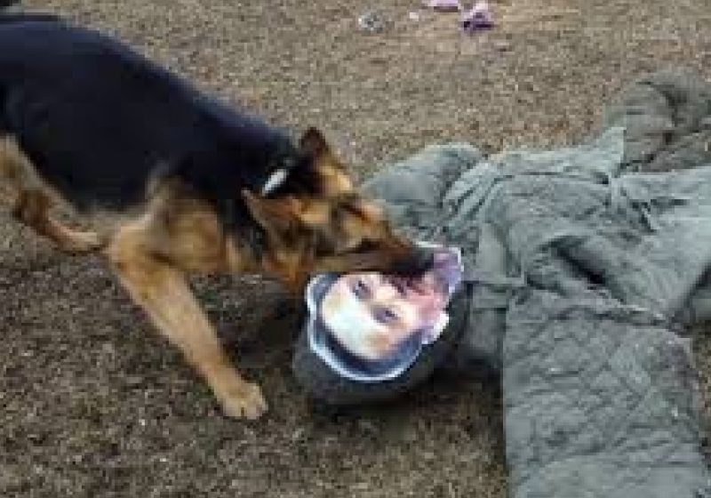 Nou film de propagandă al Phenianului: Câini care îl atacă pe ministrul sud-coreean al Apărării. "Problema nu este dacă va avea loc un război, ci dacă va avea loc astăzi sau mâine&quot