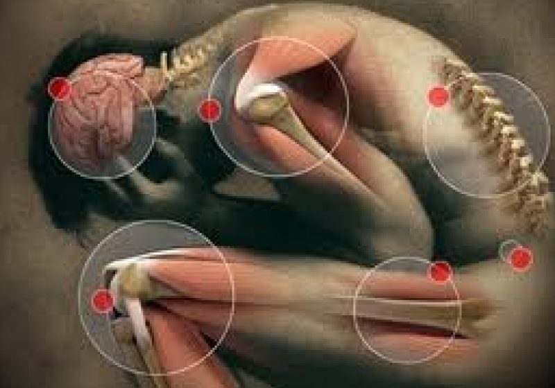 Numărul bolnavilor de Parkinson s-ar putea dubla până în anul 2030 Numărul bolnavilor de Parkinson s-ar putea dubla până în anul 2030