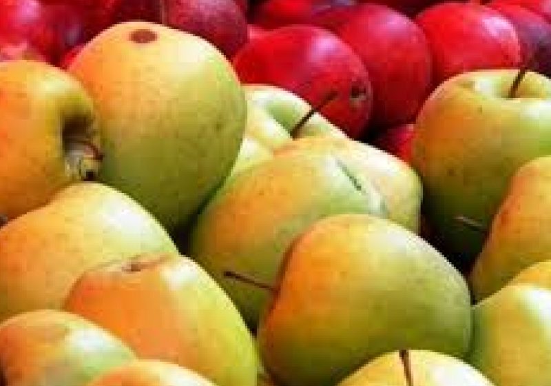 Peste 200 kg de fructe comercializate ilegal au fost confiscate de poliţişti Peste 200 kg de fructe comercializate ilegal au fost confiscate de poliţişti