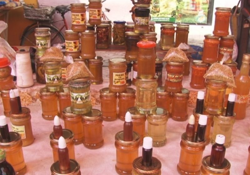 Ploile abundente din ultimul timp sunt o ameninţare pentru apicultorii din Maramureş Ploile abundente din ultimul timp sunt o ameninţare pentru apicultorii din Maramureş