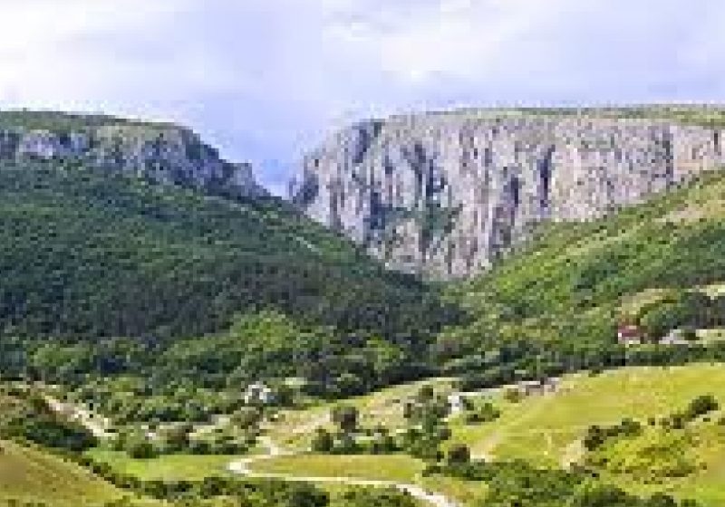 Proiect de 1,7 milioane de lei pentru protejarea florei şi faunei din Cheile Turzii şi Turenilor