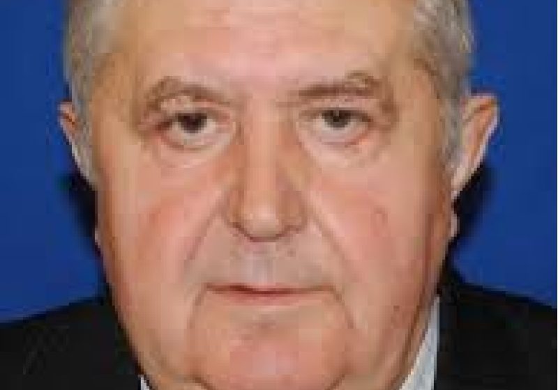 Liderul deputaţilor PSD: Mîrza a făcut "o greşeală regretabilă", voi recomanda deputaţilor PSD să se abţină