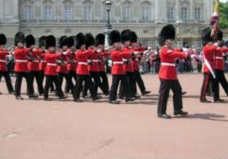 Regimentul de gardă al reginei Marii Britanii suferă de scabie Regimentul de gardă al reginei Marii Britanii suferă de scabie
