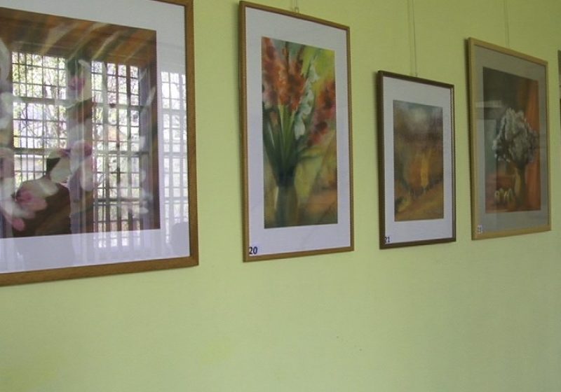 Sighet: Artista Silvia Boar a expus astăzi un număr de 39 de lucrări reunite sub titlul "Dansul naturii"