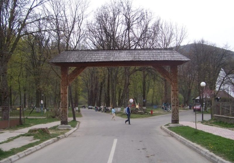 SIGHET: Primăria Sighet ia atitudine şi va demara o acţiune de ecologizare a spaţiilor verzi din municipiu SIGHET: Primăria Sighet ia atitudine şi va demara o acţiune de ecologizare a spaţiilor verzi din municipiu