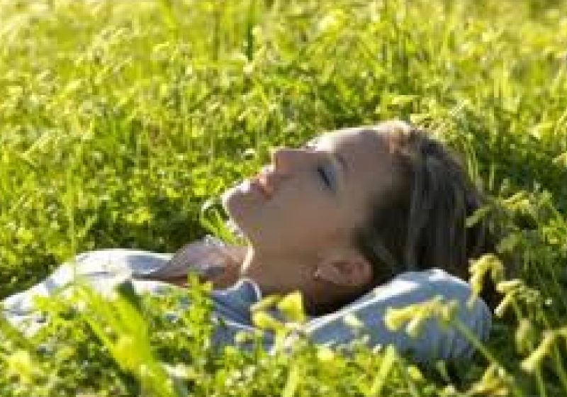 Programul "Vacanţe la ţară" se desfăşoară în perioada 14 aprilie-15 iunie Programul "Vacanţe la ţară" se desfăşoară în perioada 14 aprilie-15 iunie