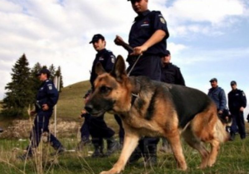 Minorii dispăruţi, victime ale neglijenţei părinţilor! Minorii dispăruţi, victime ale neglijenţei părinţilor!