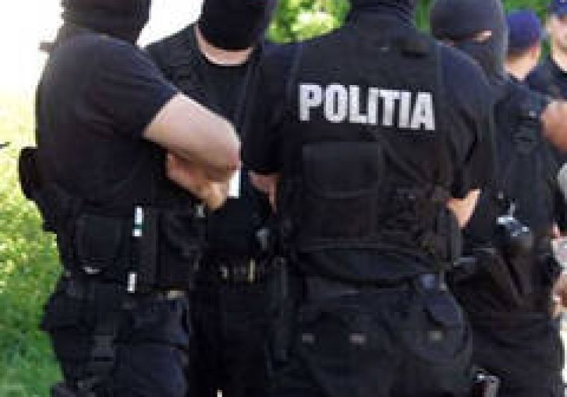 IPJ: Percheziții în Borșa și Moisei