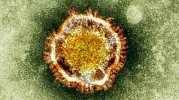 263 de noi cazuri de infectare cu coronavirus confirmate în ultimele 24 de ore