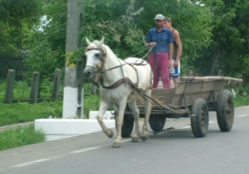 A căzut din căruţă şi s-a accidentat