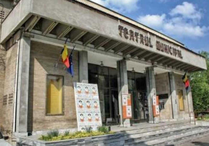 Baia Mare: Programul Teatrului Municipal din perioada 17.06.-23.06.2013