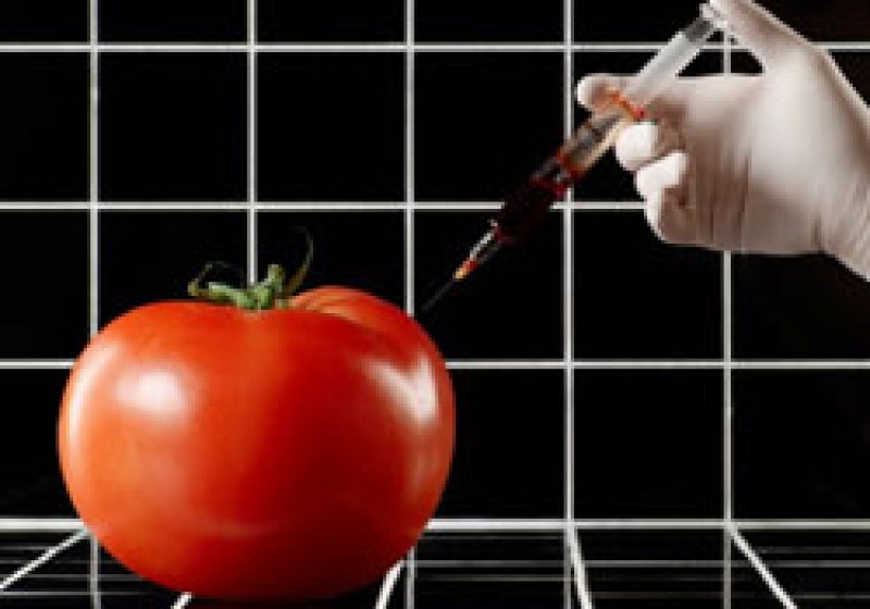 Cât de periculoase sunt alimentele procesate şi ce ar trebui să mâncăm pentru a fi sănătoşi Cât de periculoase sunt alimentele procesate şi ce ar trebui să mâncăm pentru a fi sănătoşi