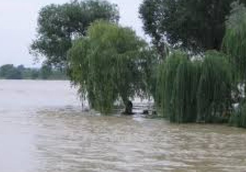 COD GALBEN de inundaţii pe râuri din jumătatea de est a ţării, până vineri seară COD GALBEN de inundaţii pe râuri din jumătatea de est a ţării, până vineri seară