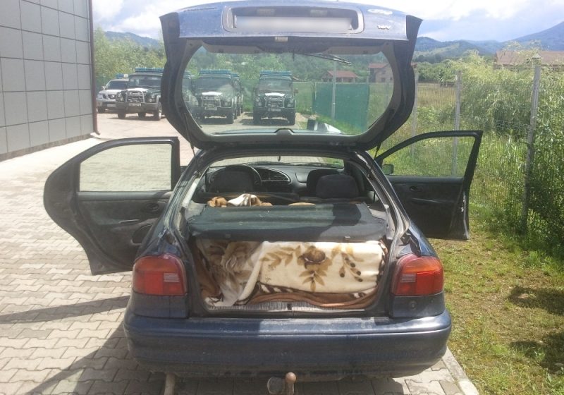 CONTRABANDĂ: Două autoturisme cu peste 4.000 pachete cu ţigări depistate de poliţiştii de frontieră