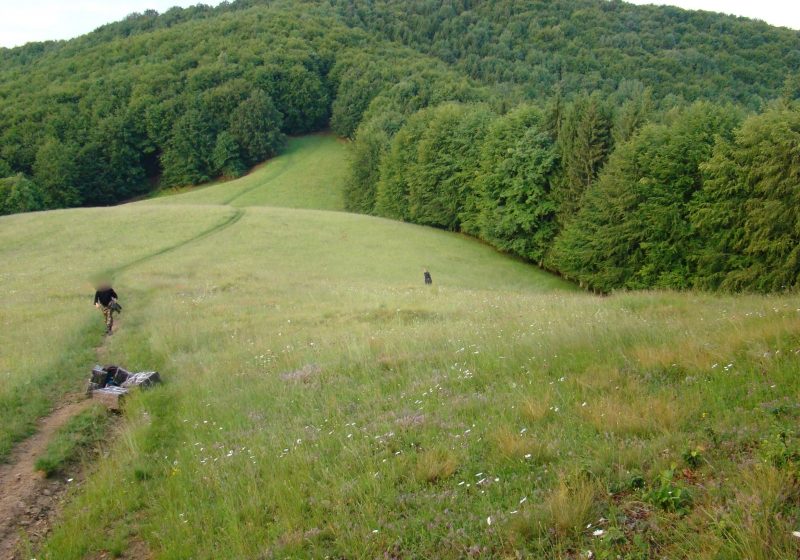 Maramures – Peste 25.000 pachete cu tigari confiscate