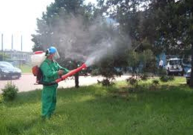SIGHET: Începe campania de DEZINSECŢIE, mâine 25 iunie