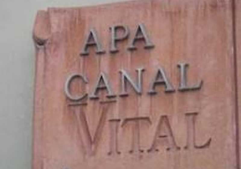 Programul casieriilor SC VITAL SA de Rusalii