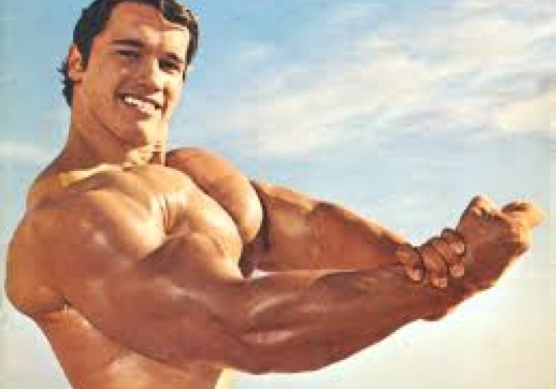 CORESPONDENŢĂ Schwarzenegger: Mişcarea de mediu trebuie să fie una la modă, sexi, nu să-i facă pe oameni să se simtă vinovaţi