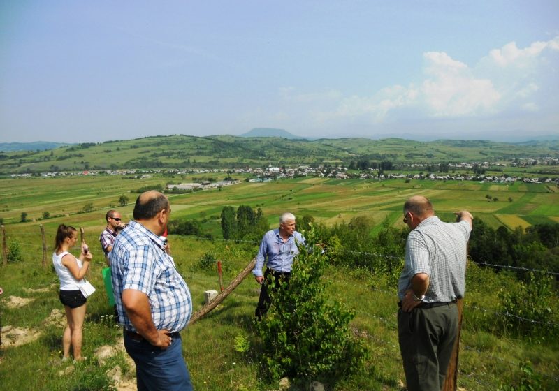 10 hectare de teren degradat împădurit la Dămăcuşeni
