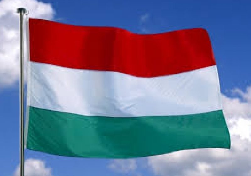 Ungaria creşte mai multe taxe, pentru a evita o eventuală reluare a procedurii de deficit excesiv