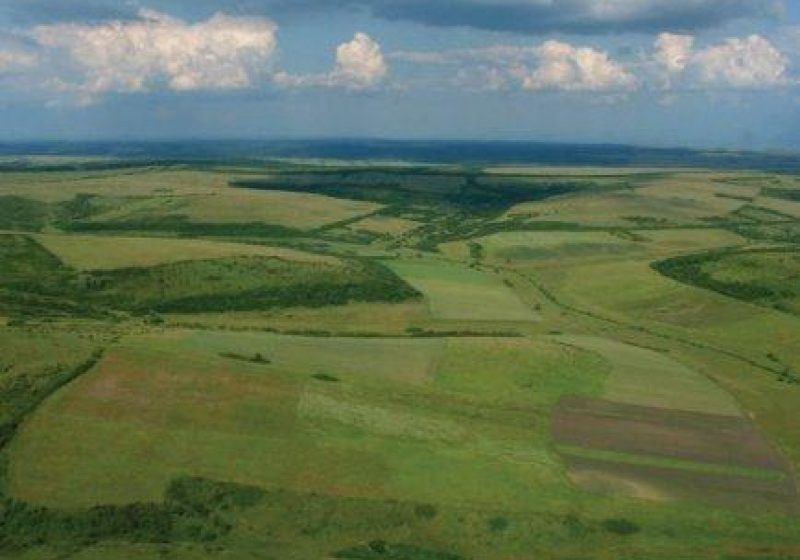 Maramures: Deputatul PP-DD Nuţu Fonta cere ANRP să corecteze legislaţia fondului funciar
