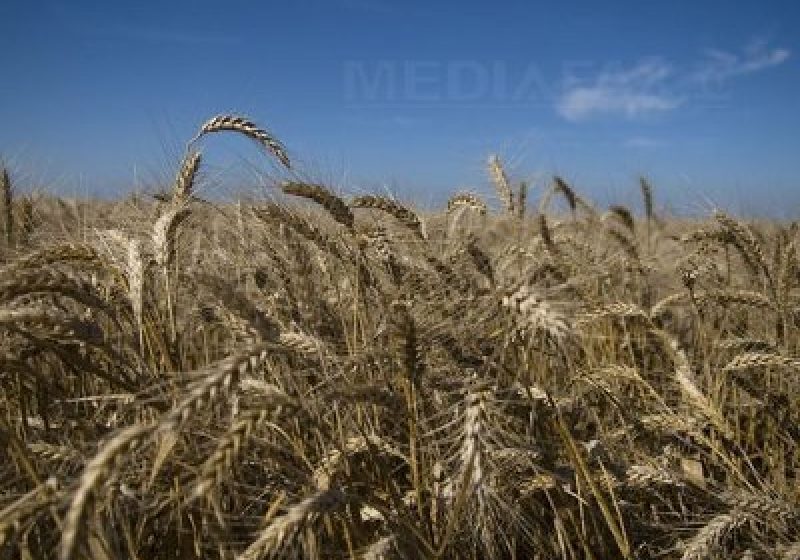 Acord politic privind o nouă orientare a politicii agricole comune Acord politic privind o nouă orientare a politicii agricole comune