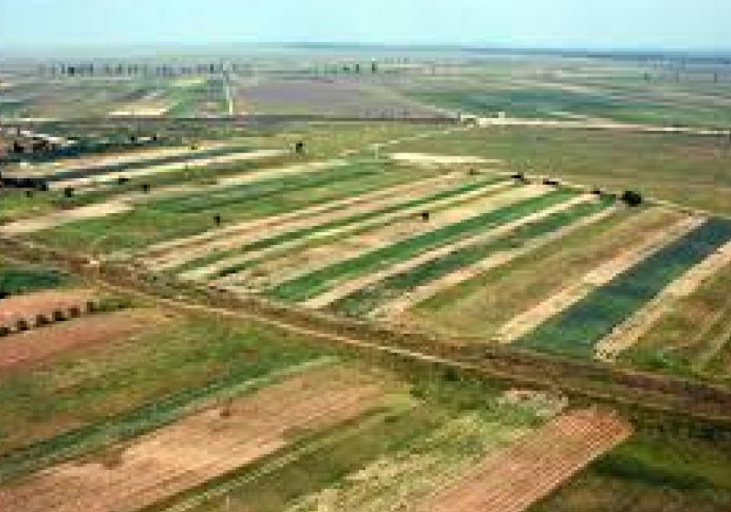 Senatorul Sorin Bota: "Liberalizarea terenurilor agricole, o capcană întinsă românilor"