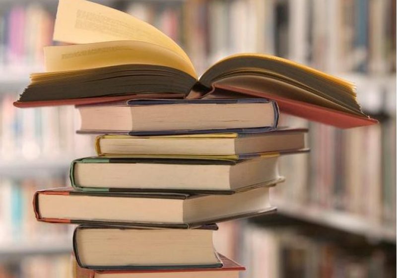 Maramureş: Deputatul Nuţu Fonta vrea ca Guvernul să sprijine accesul copiilor maramureşeni la lectură