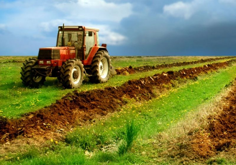 Agenţia de Plăţi pentru Dezvoltare Rurală şi Pescuit: Fondurile europene pentru agricultură, rulate prin băncile care vor cofinanţa proiecte