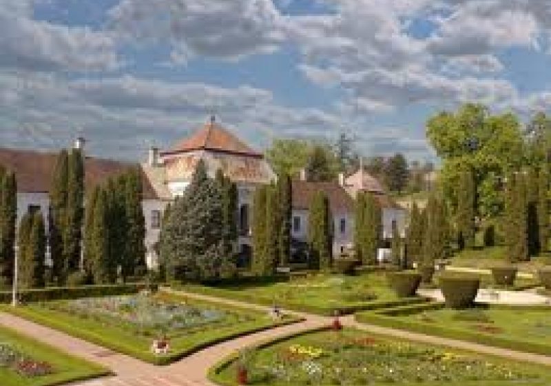 Castelul Wesselenyi din Jibou ar putea fi transformat într-un centru internaţional de cercetări biologice