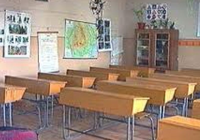Remus Pricopie: Nu se desfiinţează clase
