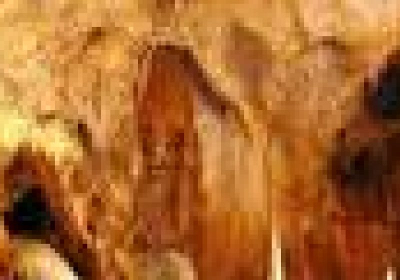 Descoperirea URIAŞĂ din România despre care vorbeşte întreaga lume: "Le-am găsit absolut întâmplător, nimeni nu bănuia că avem aşa ceva LA NOI ÎN ŢARĂ"